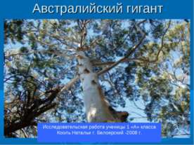 Австралийский гигант