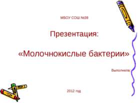 Молочнокислые бактерии