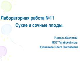 Сухие и сочные плоды