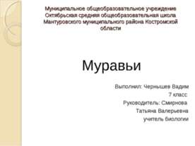 Муравьи