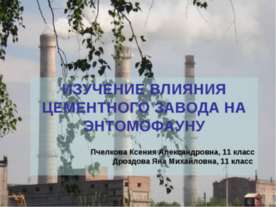 Изучение влияния цементного завода на энтомофауну