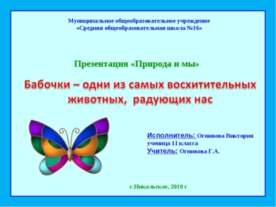 Бабочки (11 класс)
