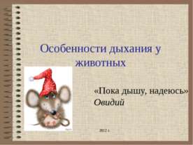 Особенности дыхания у животных