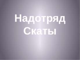 Надотряд Скаты