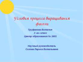 Условия процесса выращивания фасоли