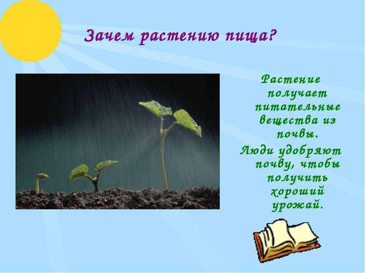 Окружающий 3 класс почвы растения из получают картинки мир что