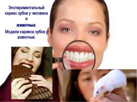 Экспериментальный кариес зубов у человека и животных. Модели кариеса зубов у ...