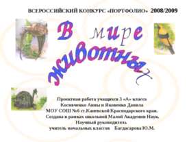 В мире животных