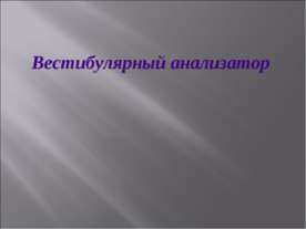 Вестибулярный анализатор
