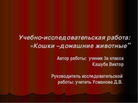 Кошки – домашние животные