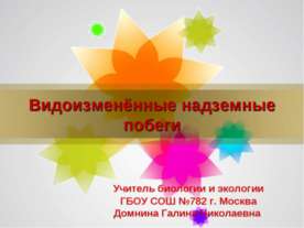 Видоизменённые надземные побеги