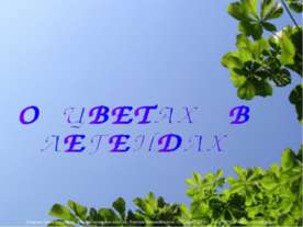 О цветах в легендах