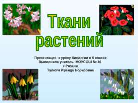 Ткани растений 6 класс
