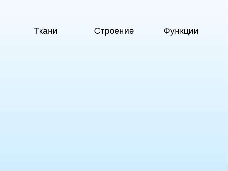 презинтанция скачать бесплатно по биологии 5 и 6 класс презинтанция скачать бесплатно по биологии 5 и 6 класс