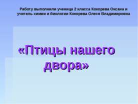 Птицы нашего двора
