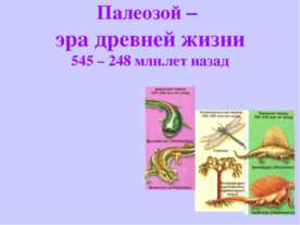 Палеозой – эра древней жизни 545 – 248 млн.лет назад