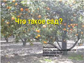 Что такое сад?