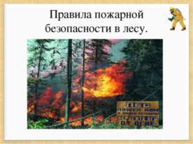 Правила пожарной безопасности в лесу