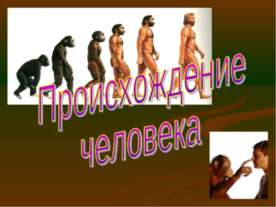 Происхождение человека
