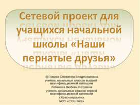 Наши пернатые друзья