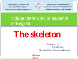 The skeleton