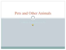 Pets and Other Animals