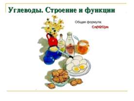 Углеводы. Строение и функции