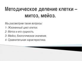 Методическое деление клетки – митоз, мейоз