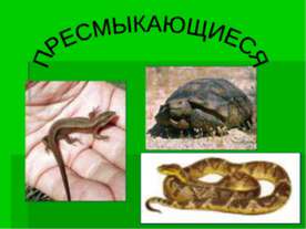 урок окружающего мира в 3 классе