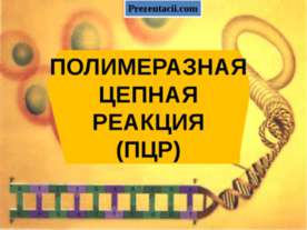 Полимеразная цепная реакция(ПЦР)