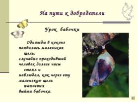 Урок бабочки