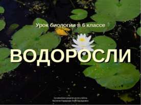 Водоросли