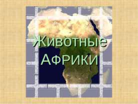 Животные АФРИКИ