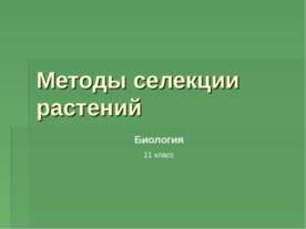 Методы селекции растений 11 класс