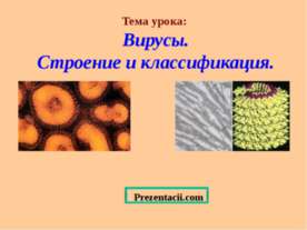 Вирусы. Строение и классификация