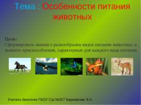 Особенности питания животных