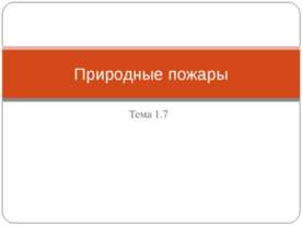 Природные пожары