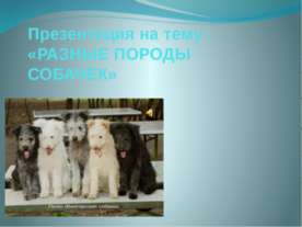 Породы собак