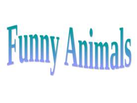 Funny animals