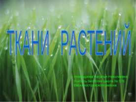 Ткани растений