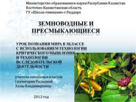 Земноводные и пресмыкающиеся