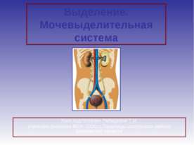 Выделение. Мочевыделительная система