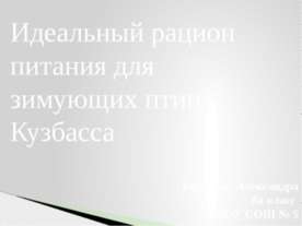 Идеальный рацион питания для зимующих птиц Кузбасса