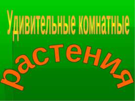 Удивительные комнатные растения