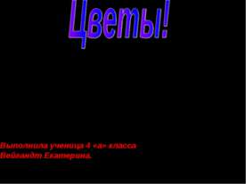 Цветы!