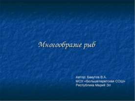Многообразие рыб