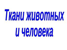 Ткани животных и человека