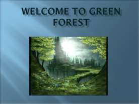 Welcome to Green forest