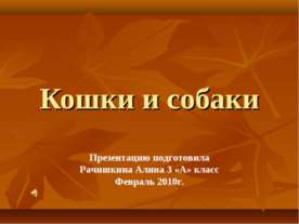 Кошки и собаки 3 класс