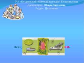 Органоиды клетки